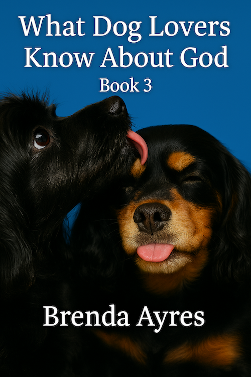 book3