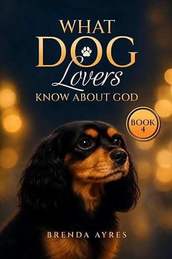 book4